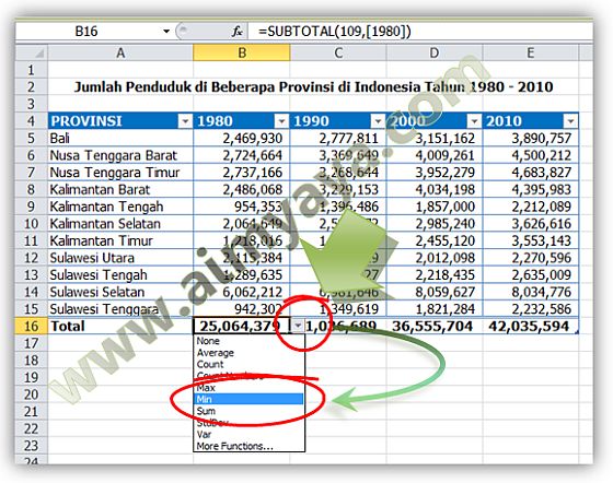  Gambar: Cara mengganti fungsi pada baris total  