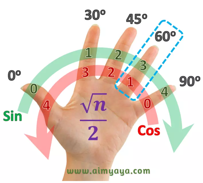 cara-menghafal-sudut-trigonometri:contoh rumus tangan